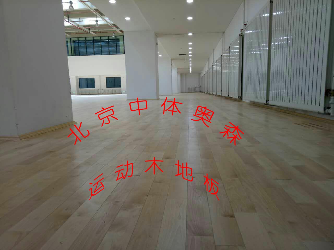 A塘沽生態體育館__副本(1).jpg