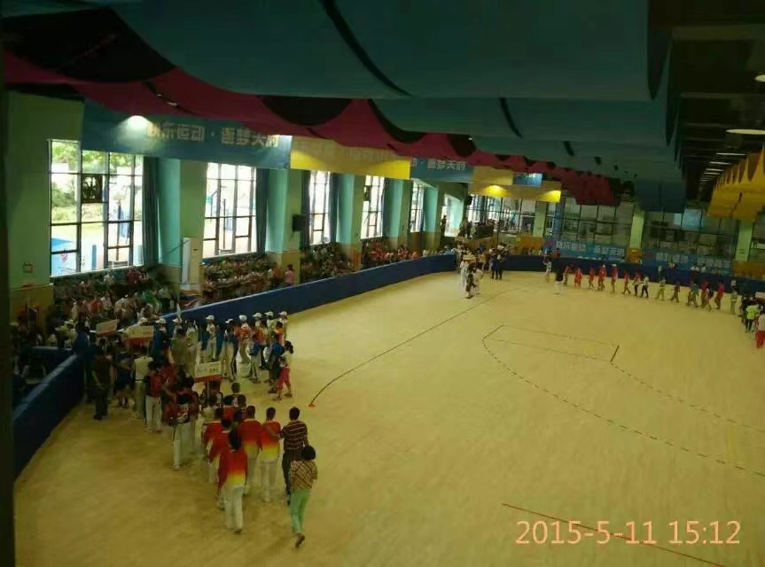 14.第九屆全國殘奧會、輪滑、手球比賽場地.jpg